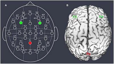 Activation of the DLPFC Reveals an Asymmetric Effect in Risky Decision Making: Evidence from a tDCS Study